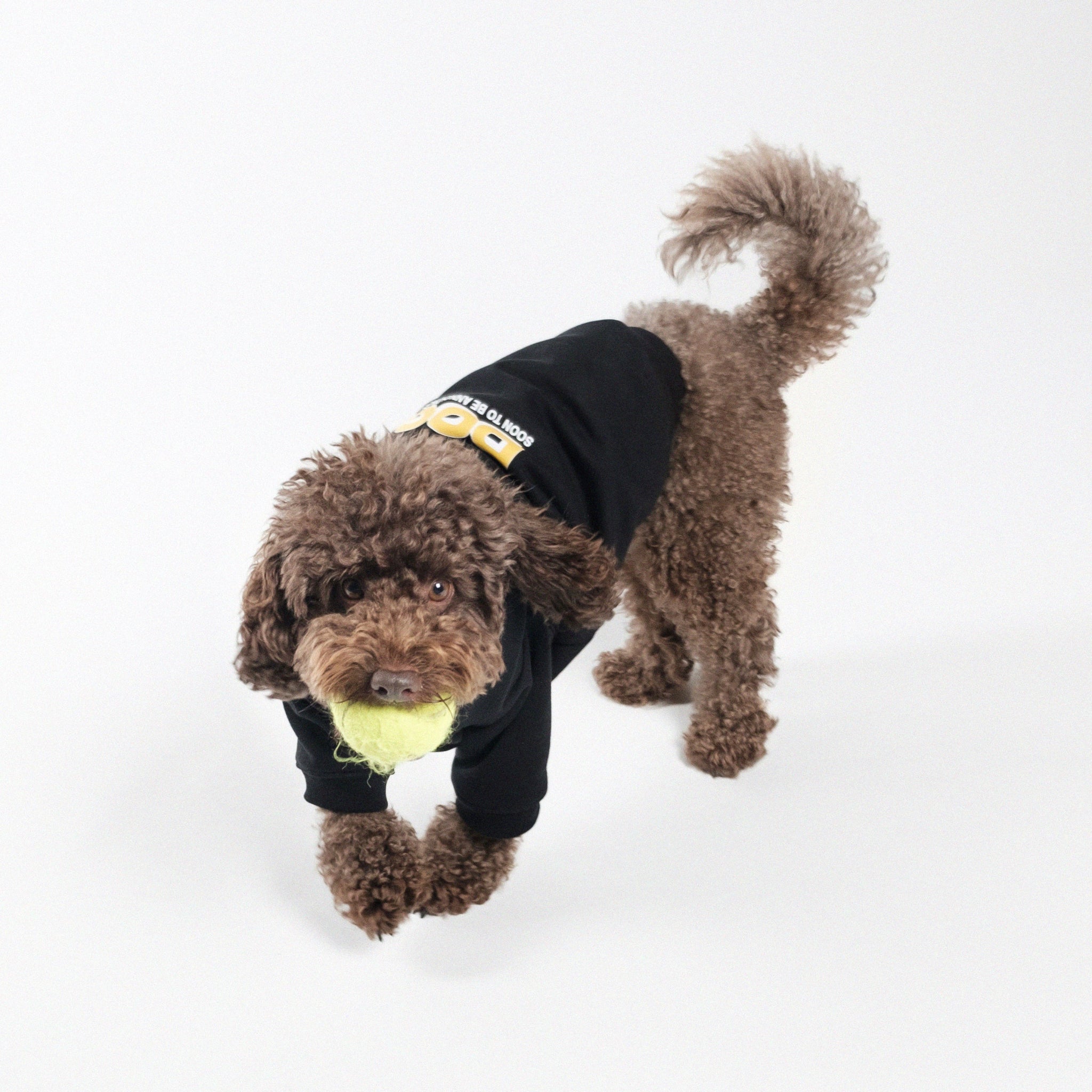 Dog Hoodie - SOON TO BE ANNOUNCED