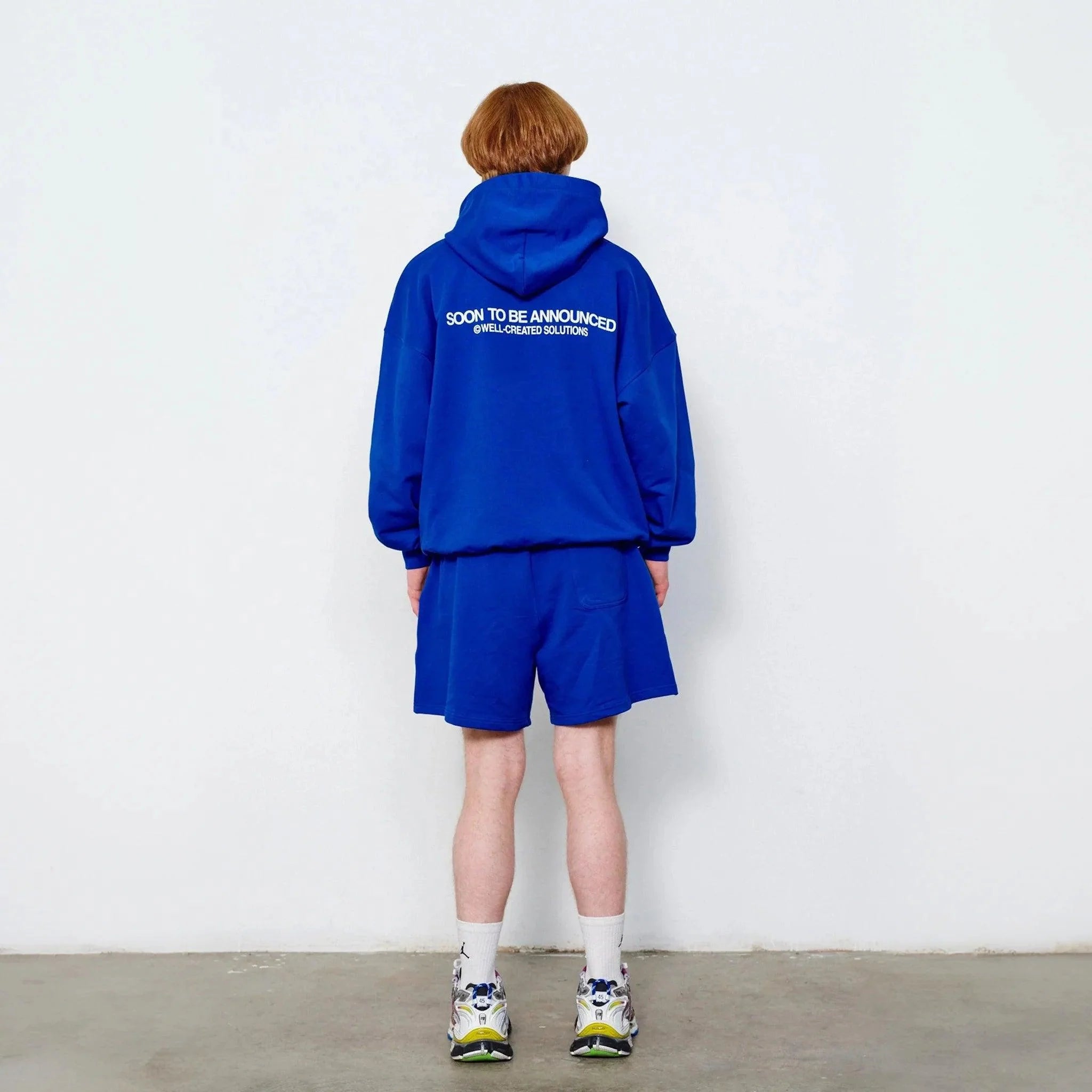 Well-Created Hoodie - SOON TO BE ANNOUNCED