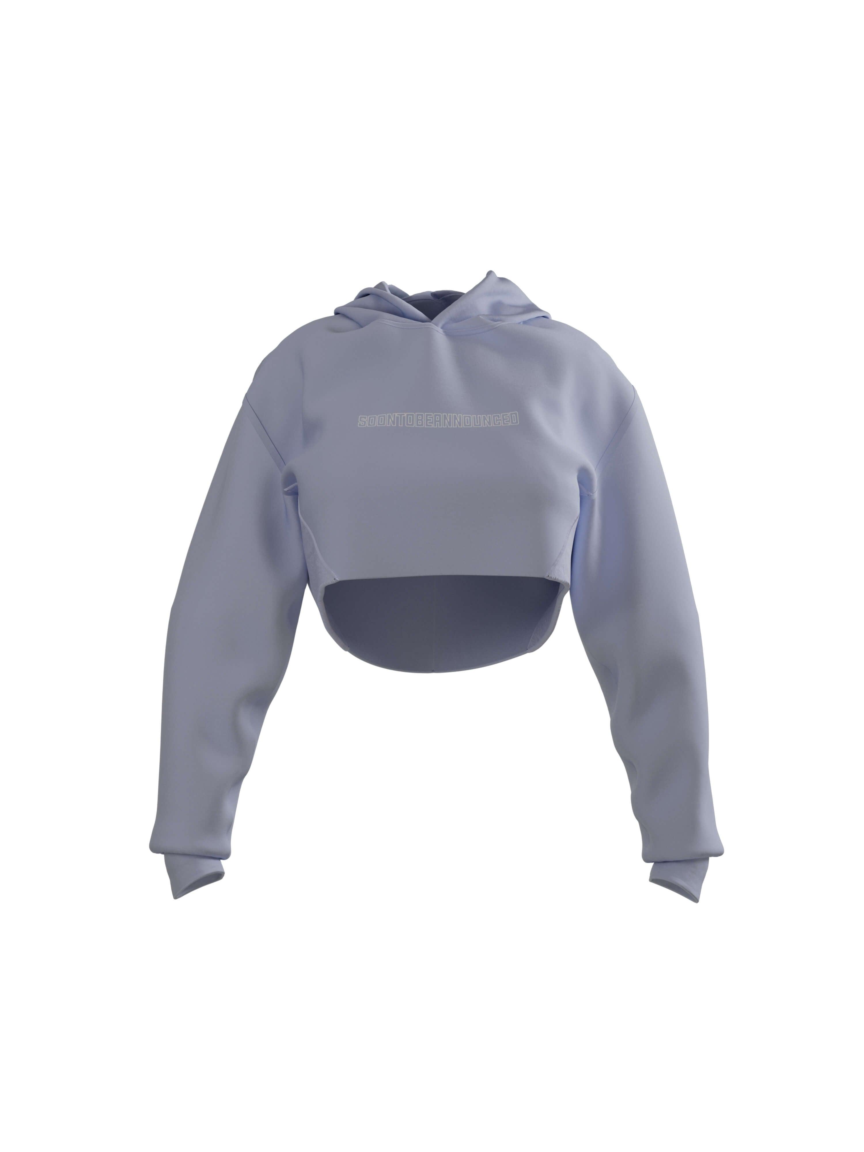 Heavyweight Logo Crop Hoodie - SOON TO BE ANNOUNCED