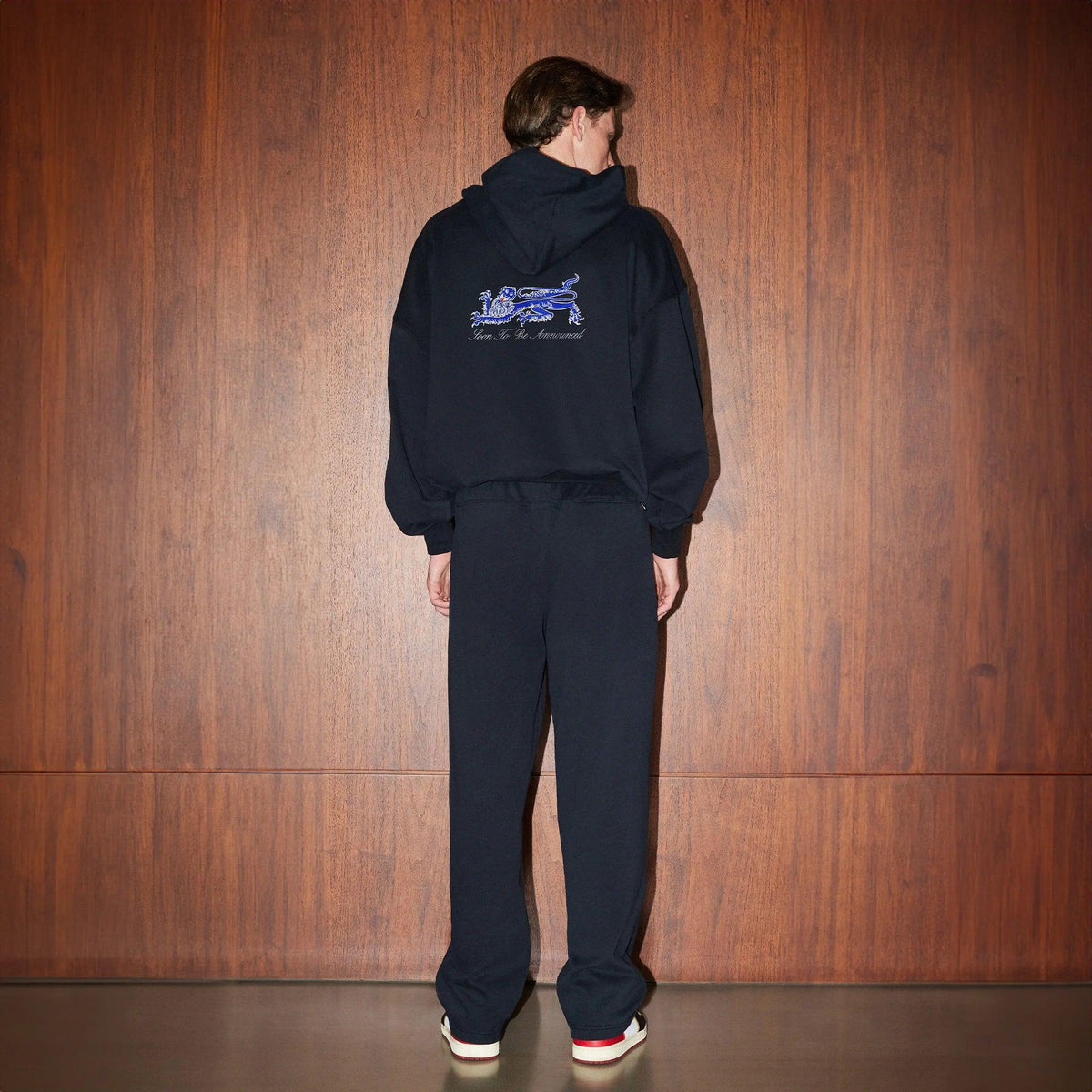 One Lion Hoodie - SOON TO BE ANNOUNCED