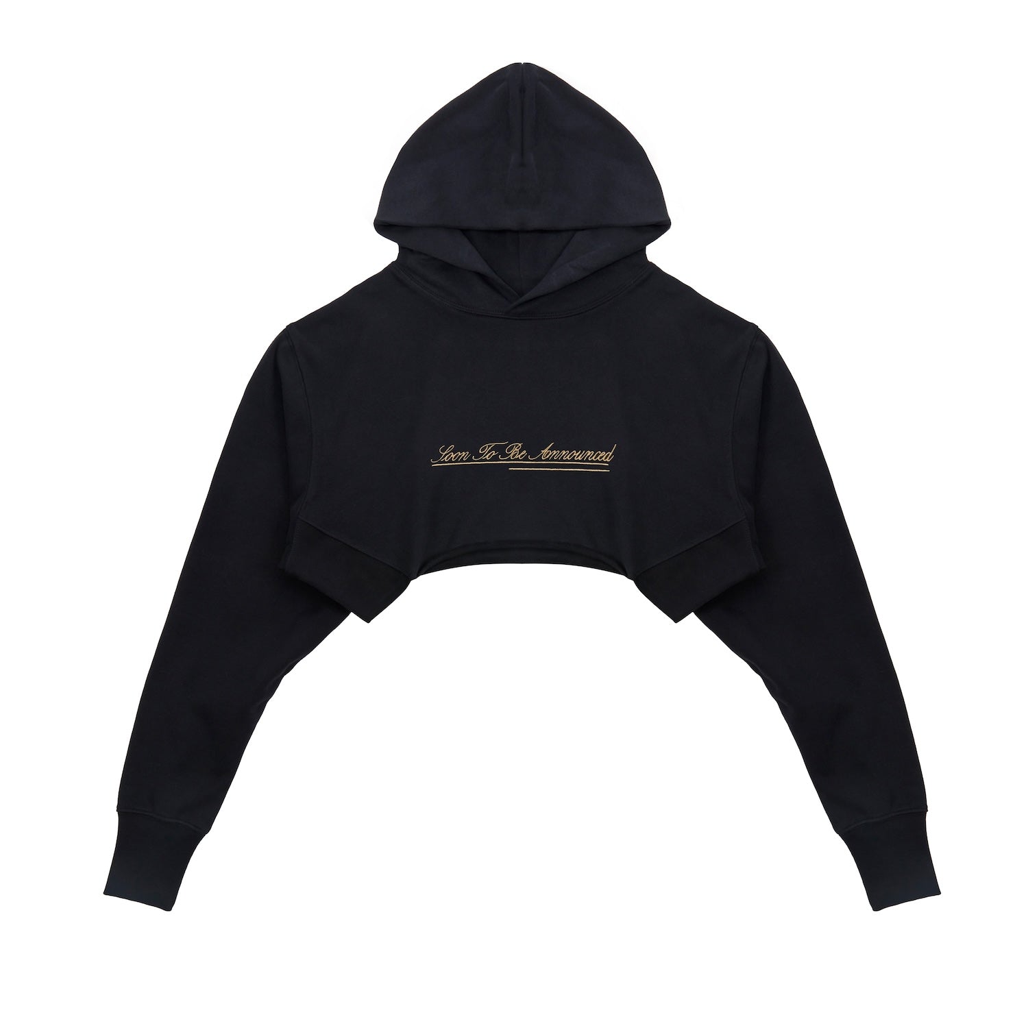 STBA Embroidery Crop Hoodie